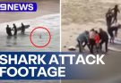😥🙏30 minutes ago, a man was bitten and died instantly by a shark because…See more