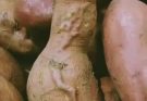 👇DOUBLE TAKE These 13 completely innocent photos are proof you have a very dirty mind
