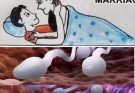 Many know! ❤️❤️ Studies reveal that swallowing your partner’s semen… See more