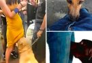 🚨IF your dog is sniffing your genital area, it means you have…see more