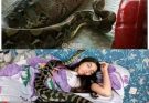 ššWoman slept with her python every night until the vet showed her a surprising ultrasound
