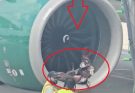 💔😱 HORROR ON THE TARMAC: A Frontier plane’s engine shredded…Video in comments