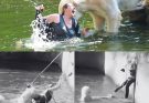Berlin Zoo’s Shocking Polar Bear Encounter: A Woman’s Leap into Danger