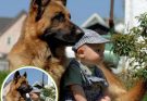 We Almost Gave Away Our Dog for Barking at the Nanny — Until We Found Out What He Was Really Trying to Tell
