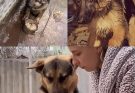 A Dog’s Quiet Cry Carried Him Home to Love and Healing