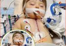 Everhett’s Brave Heart: A Little Warrior Comes Home