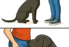 Did you know that if a dog smells your parts it’s po…See more
