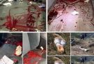 Young woman dies at the hands of her!