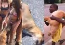 If your dog is sniffing your genital area, it means you have…See more